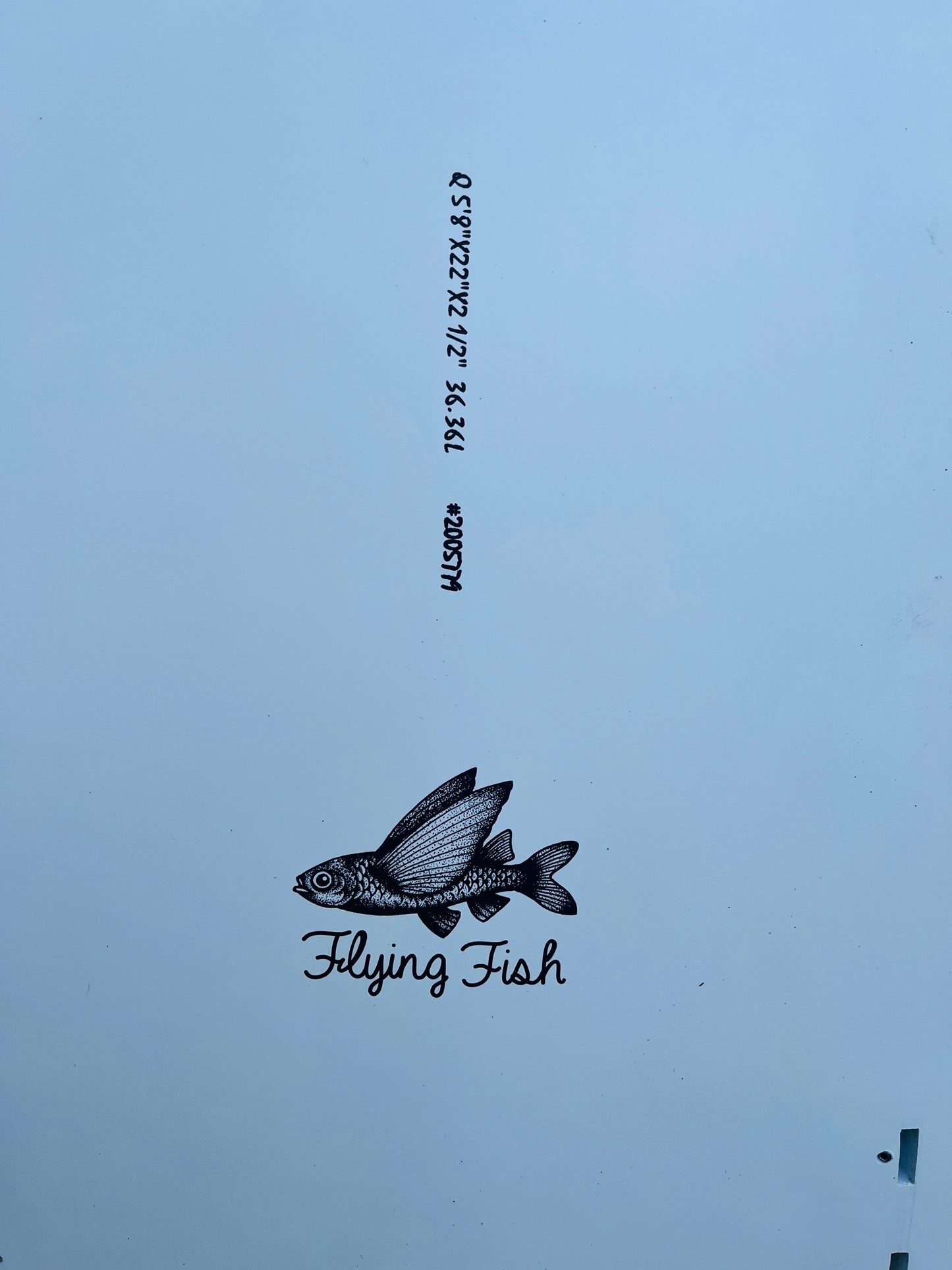5'8 AQSS Flying Fish RENTAL