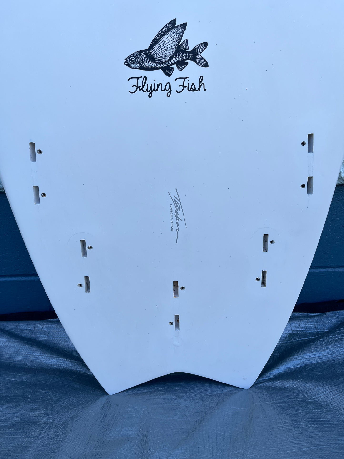 5'8 AQSS Flying Fish
