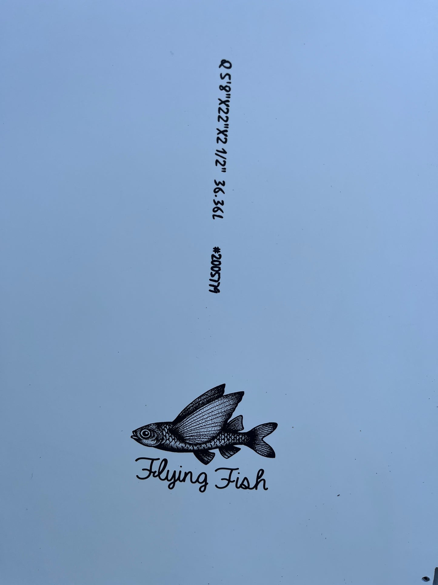 5'8 AQSS Flying Fish