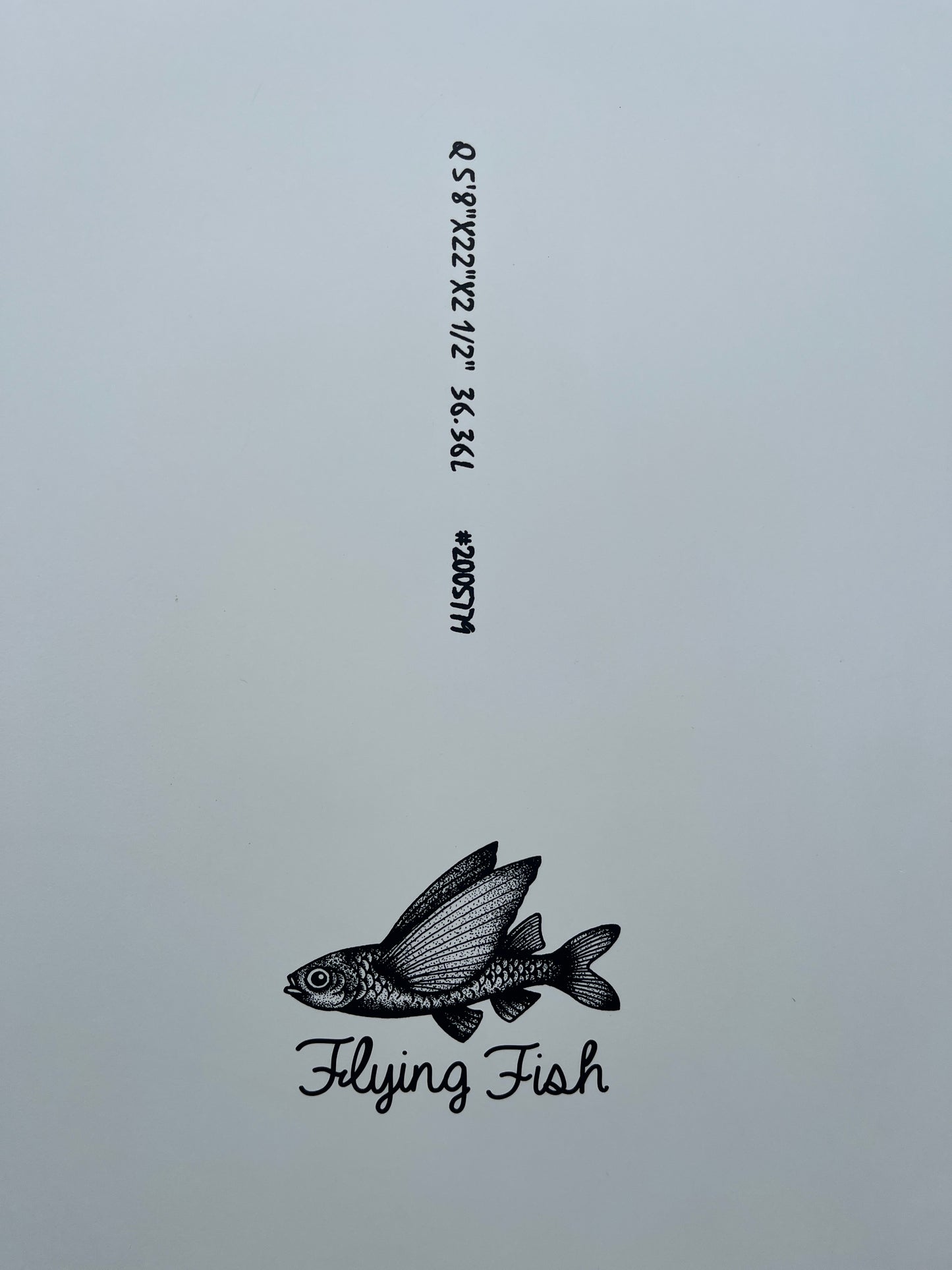 5'8 AQSS Flying Fish